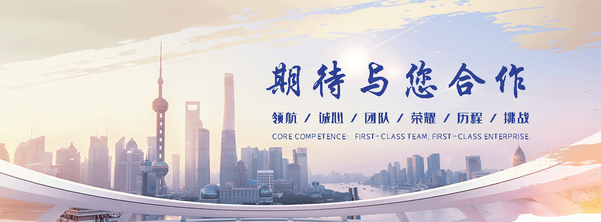 安阳海狮租赁公司